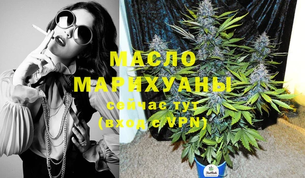 твердый Ельня