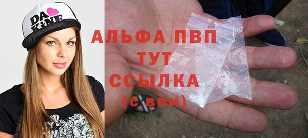 твердый Ельня